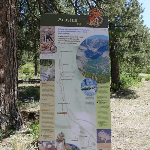 Acastus trail sign near Fletcher Canyon trailhead