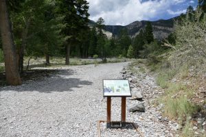 boot brush station at MJF trailhead