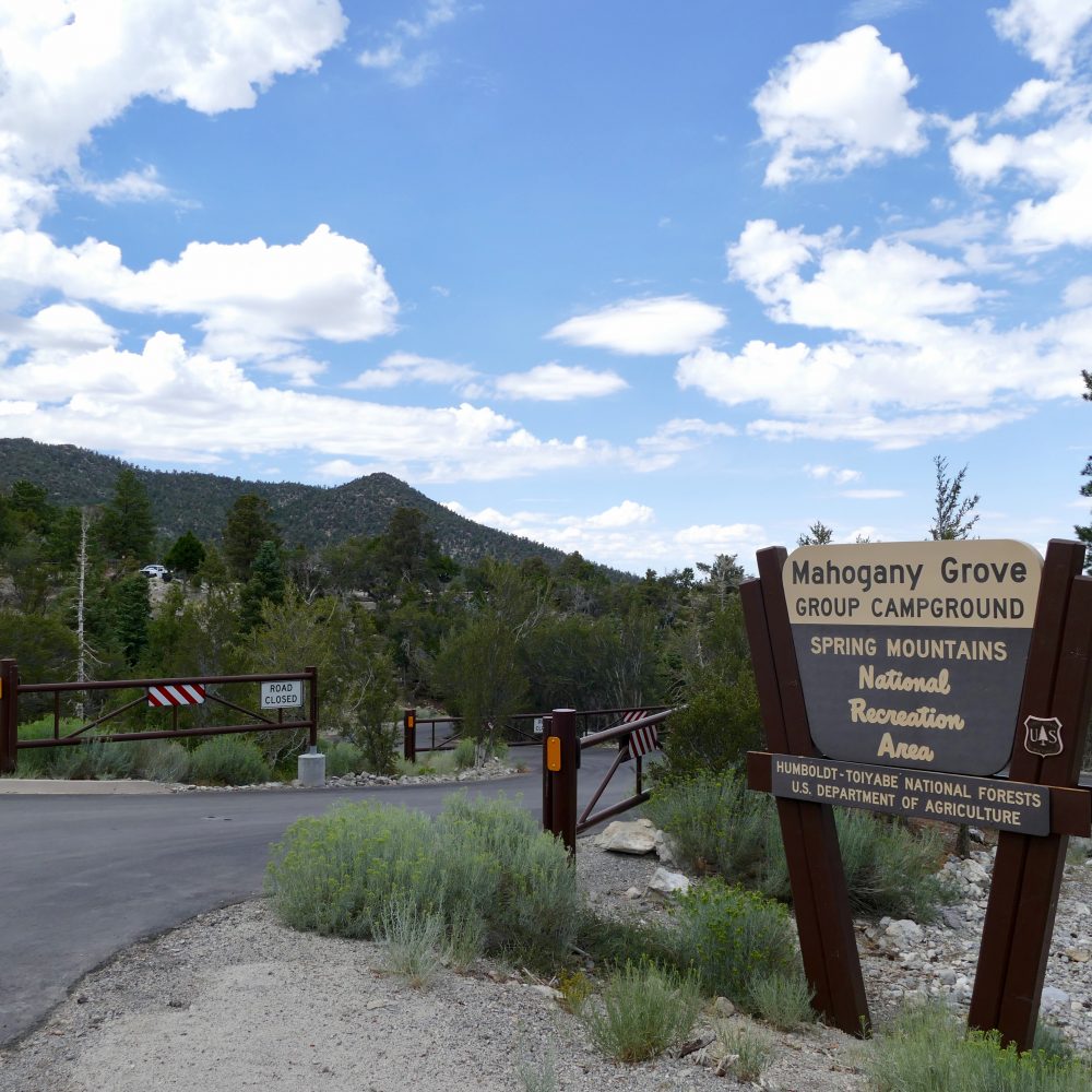 Campgrounds & Picnic Sites Las Vegas, NV Go Mt. Charleston