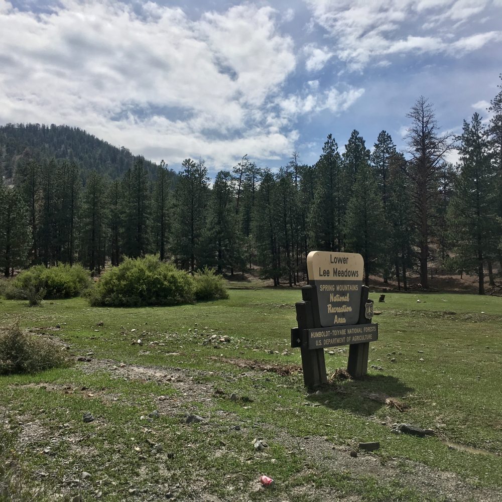 Campgrounds & Picnic Sites Go Mt. Charleston Las Vegas, NV