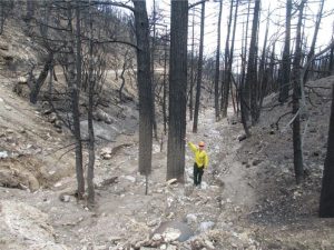 man standing in a dry wash showing the high water level of 2013 flood in Harris Springs Canyon