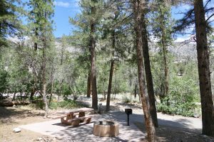 Kyle Canyon picnic site