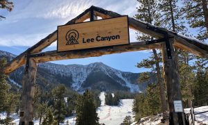 Mount Charleston And Lee Canyon Day Trip From Las Vegas 2020