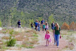 Mount Charleston Hikes & Trails