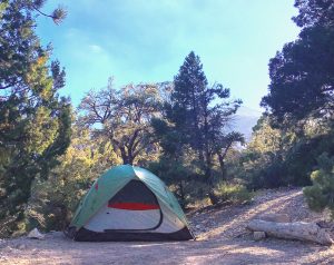 tent site at hilltop campground